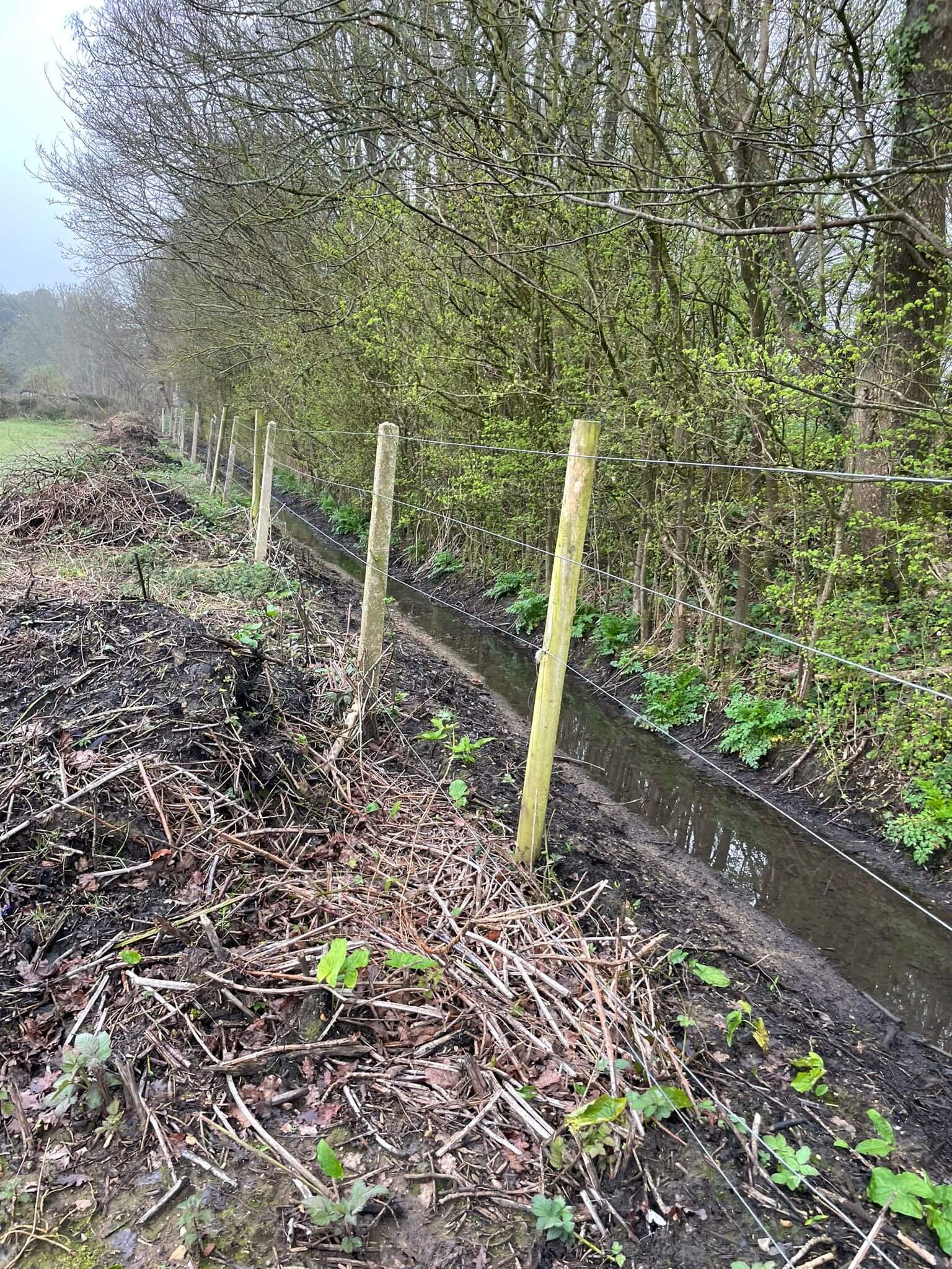 Boundary Fence Installation - Image 4